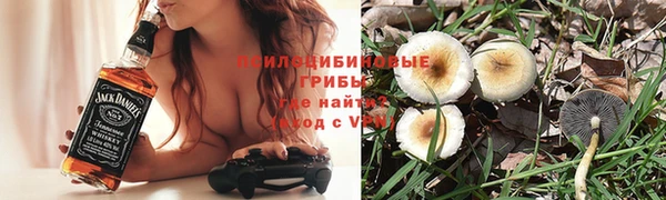 кокс Баксан